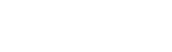 パーティーフーズ・ピザ・お寿司